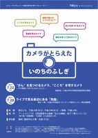 サイエンスカフェ「カメラがとらえたいのちのふしぎ」　ライブで見る身近にある「免疫」