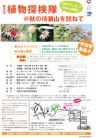第8回植物探検隊＠秋の待兼山を訪ねて