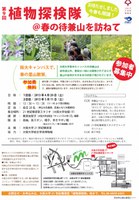 第9回植物探検隊＠春の待兼山を訪ねて