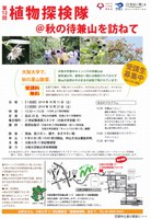第12回植物探検隊＠秋の待兼山を訪ねて