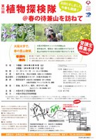 第11回植物探検隊＠春の待兼山を訪ねて